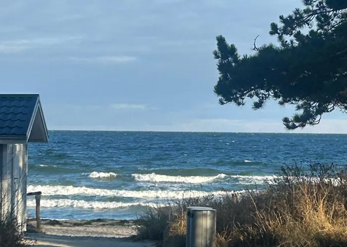 Seepferdchen Timmendorfer Strand